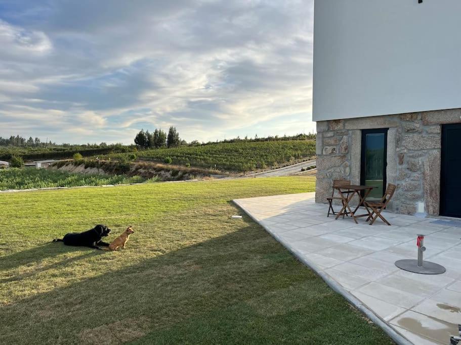 Willa Quinta Do Carregal Mangualde Zewnętrze zdjęcie